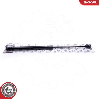 Dujinė spyruoklė, bagažinė