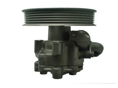 HYDRAULIKPUMPE LENKUNG SPIDAN 54183 3