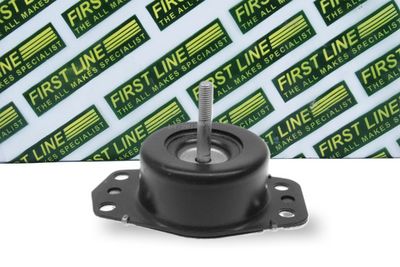 окачване, двигател FIRST LINE FEM3669