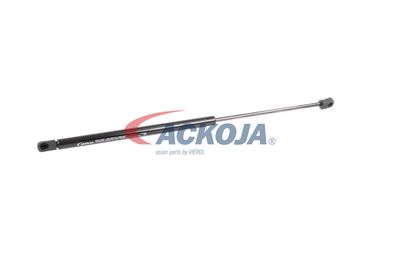 AMORTIZOR PORTBAGAJ ACKOJA A320132 58