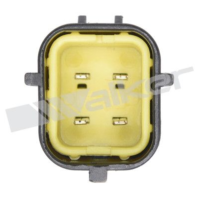 LAMBDASONDE WALKER PRODUCTS 25024771 2