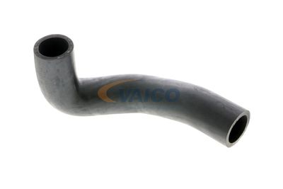 FURTUN EAR SUPRAALIMENTARE VAICO V240698 14