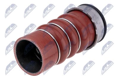 FURTUN EAR SUPRAALIMENTARE NTY GPPBM104 1