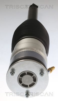 ARC PNEUMATIC DIRECTIE TRISCAN 872081202 2