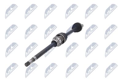 PLANETARA NTY NPWPE053 36