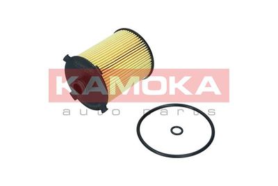 Oil Filter F116201