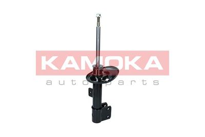 Shock Absorber 2000167