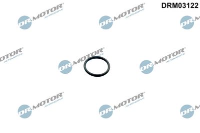 GARNITURA BAIE ULEI Dr.Motor Automotive DRM03122