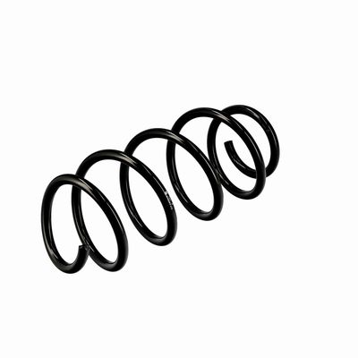 ARC SPIRAL EIBACH R10193 4