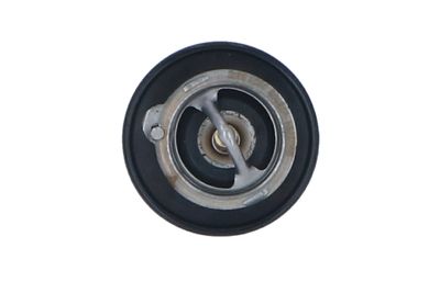 TERMOSTAT LICHID RACIRE NRF 725143 7
