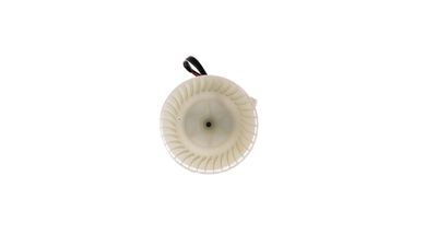360 Grad Ansicht 10