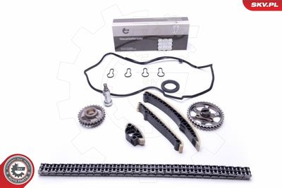 Timing Chain Kit 21SKV200