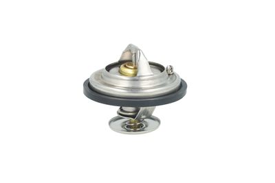 TERMOSTAT LICHID RACIRE NRF 725478 32