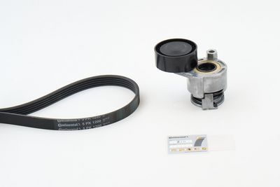 CONTINENTAL CTAM Keilrippenriemensatz