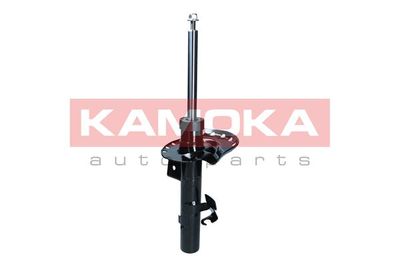 Shock Absorber 2000571