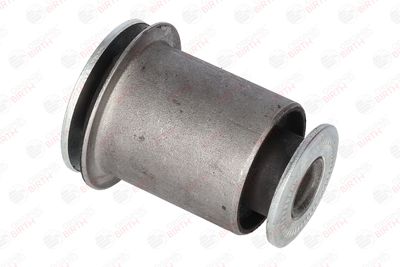 SUPORT TRAPEZ BIRTH 2905 2