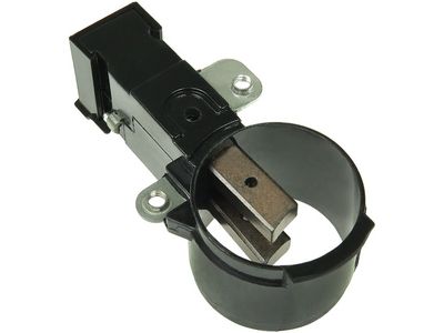 Halter, Kohlebürsten