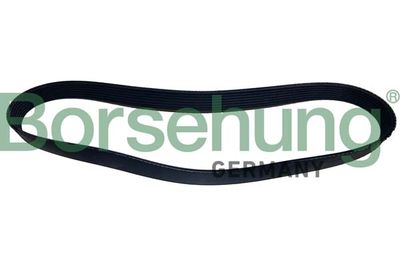 CUREA TRANSMISIE CU CANELURI Borsehung B12504
