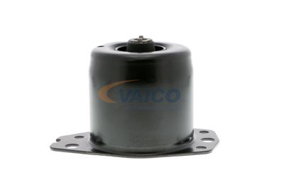SUPORT MOTOR VAICO V240368 23
