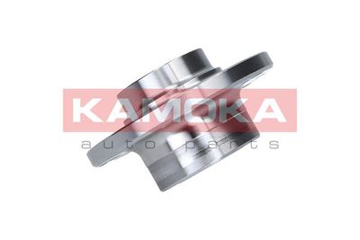 Wheel Bearing Kit 5500024