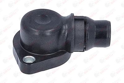 FLANSA LICHID RACIRE BIRTH 81108 11