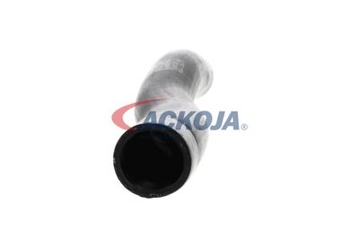 FURTUN EAR SUPRAALIMENTARE ACKOJA A529600 48