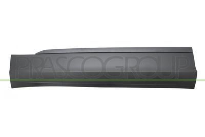 Elemente decorative/protectie, portiera PRASCO VG8101404