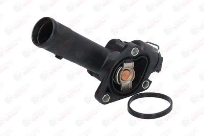 FLANSA LICHID RACIRE BIRTH 81036 6