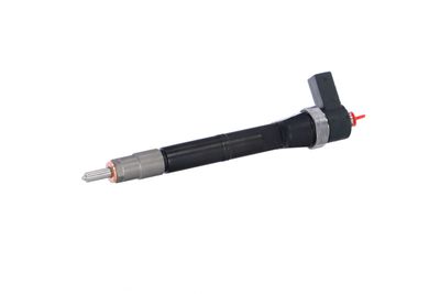 INJECTOR REMANTE 002003001084R 8