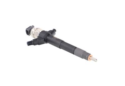 INJECTOR REMANTE 002003001019R 50