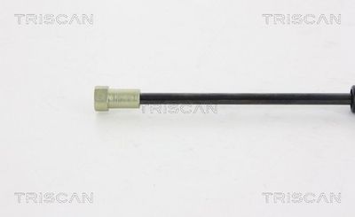 AMORTIZOR PORTBAGAJ TRISCAN 871038226 2