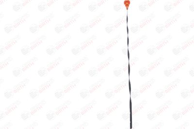 JOJA ULEI BIRTH 80033 3