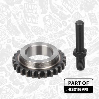 SET LANT ANTRENARE POMPA ULEI ET ENGINETEAM RS0116VR1 4