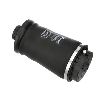 ARC PNEUMATIC DIRECTIE Arnott A2596 55