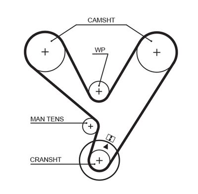 Timing Belt GATES 5208XS