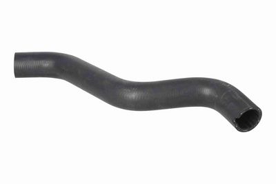 FURTUN RADIATOR VAICO V241591 2