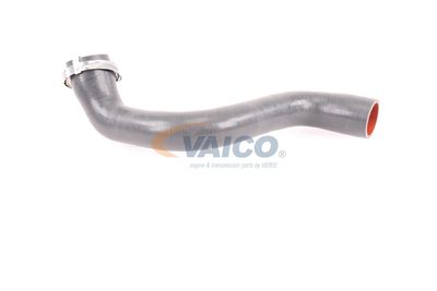 FURTUN EAR SUPRAALIMENTARE VAICO V460823 36