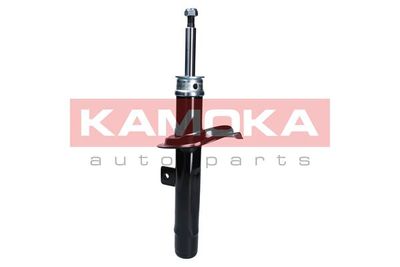 Shock Absorber 2001051