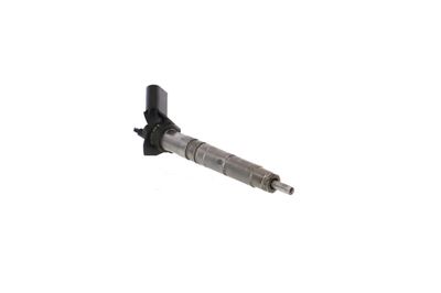INJECTOR REMANTE 002003001370R 53
