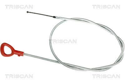 TRISCAN Alyvos lygio matuoklis