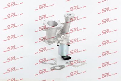 Egr valve