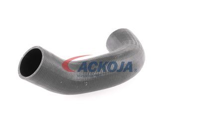 FURTUN EAR SUPRAALIMENTARE ACKOJA A380298 29