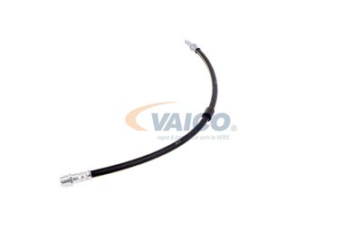 FURTUN FRANA VAICO V300547 26