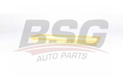Воздушный фильтр BSG BSG 70-135-013 для DS DS