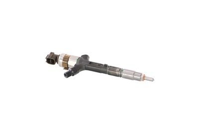 INJECTOR REMANTE 002003000101R 48