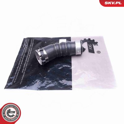 FURTUN EAR SUPRAALIMENTARE