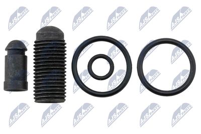 CHIT REPARATIE UNITATE POMPA-DIUZA NTY BWPVW009 2