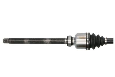 Drivaxel PASCAL G2C121PC för CITROËN, PEUGEOT, TOYOTA