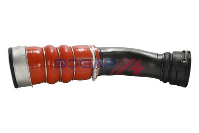 FURTUN EAR SUPRAALIMENTARE BOGAP B1711194 1