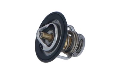 TERMOSTAT LICHID RACIRE NRF 725143 14
